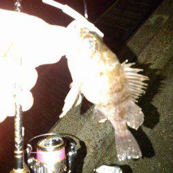 大潮満月ド干潮で目張炸裂逆転満塁ホームランの巻